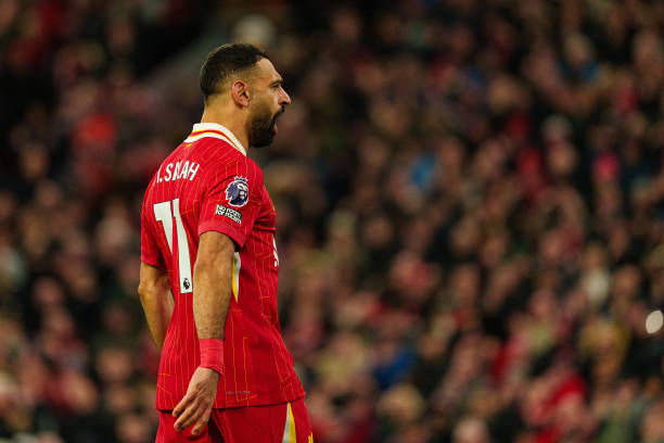 先租后买 先租后买