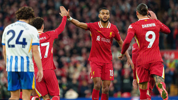 温格在谈论 温格在谈论